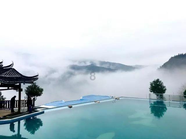 逃出小象森林