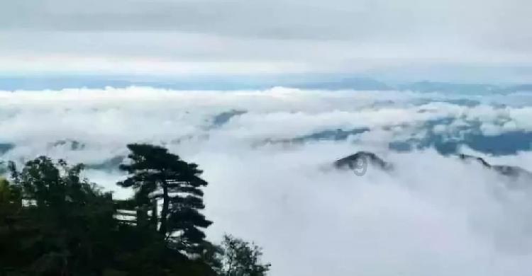 美发沙龙设计师