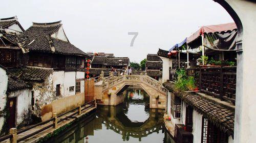 拯救小犀牛