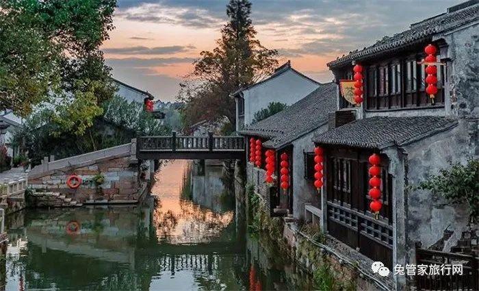 宠物上门喂养服务升温，春节期间价格上涨订单量翻倍